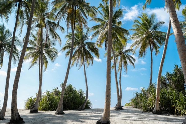 Mastering Your Perfect Isle of Man Vacation Rental for Motorsport Events: The Ultimate Guide