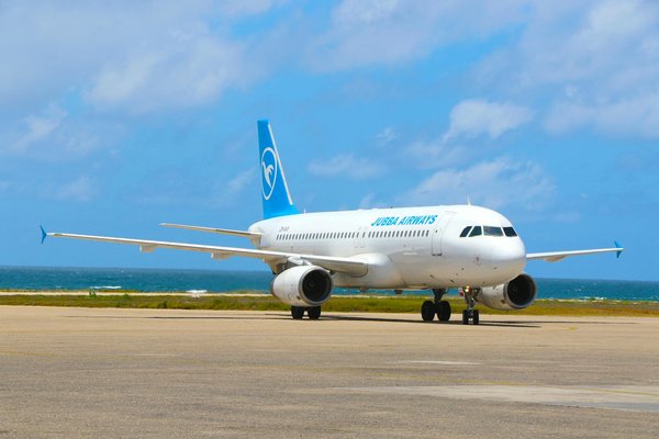 Discover the Enchantment of True British Toy Crafting: Hands-On Workshops for Passionate Travelers!